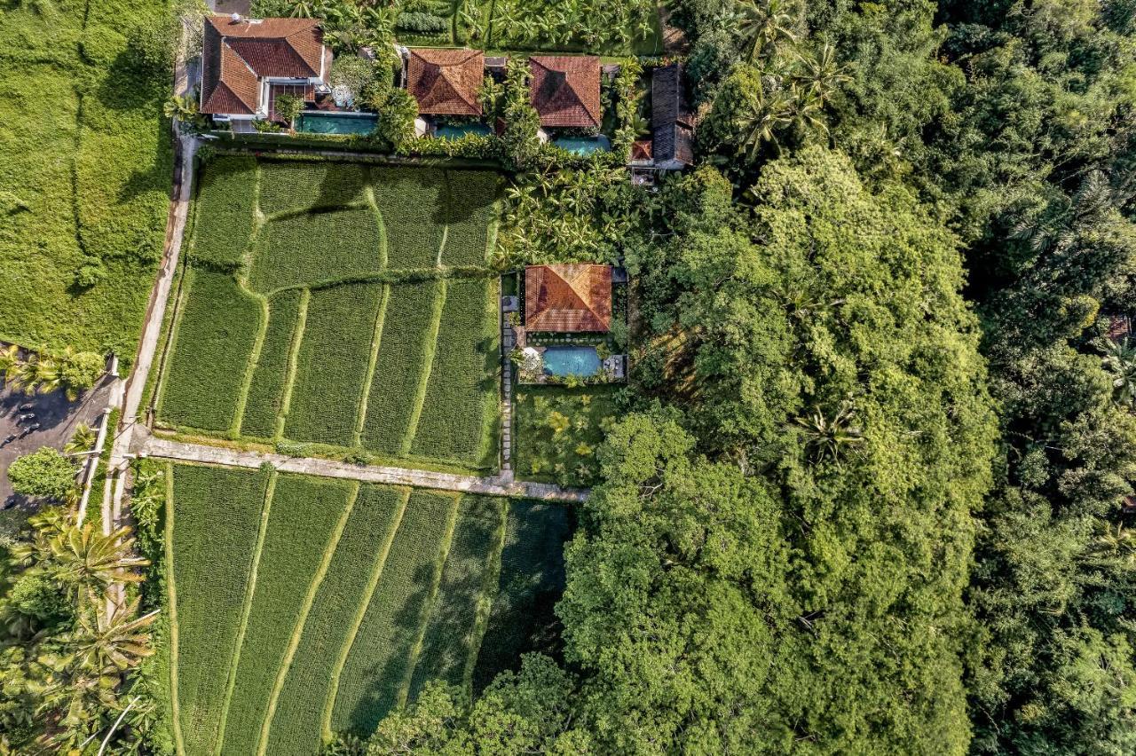 Ratni Ubud Villa Luaran gambar